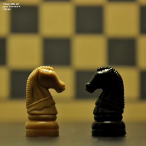 Cavall blanc i negre de joc d'escac cara a cara